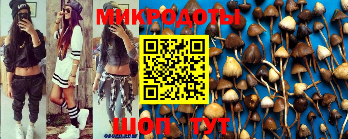 Кирово-Чепецк  Псилоцибиновые грибы Psilocybe  Вход с VPN 